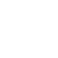 IconSafetyH